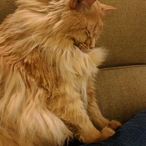 Meet your Posher, Sandra